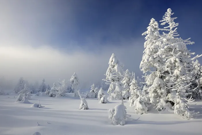 Framed Print : Deep snow-covered untouched winter landscape