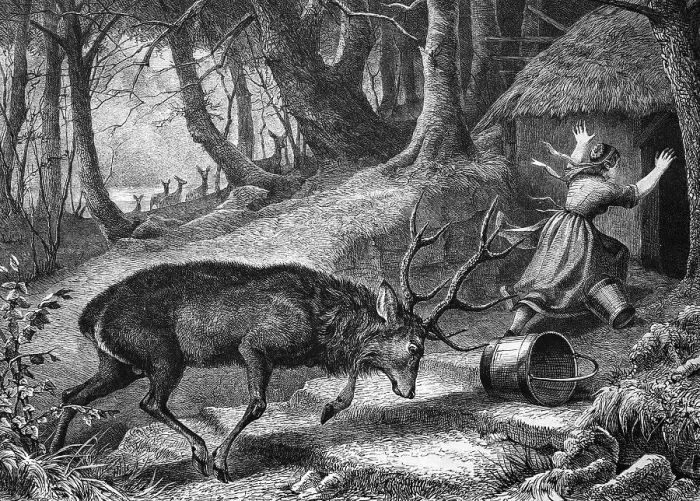 Framed Print : Deer attacking a farmer, historical engraving Framed Print : Deer attacking a farmer, historical engraving