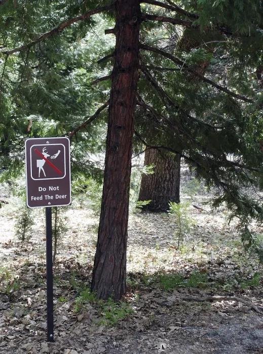 Framed Print : Deer sign, World Heritage Site 1984, Yosemite National park, California, USA United States of America