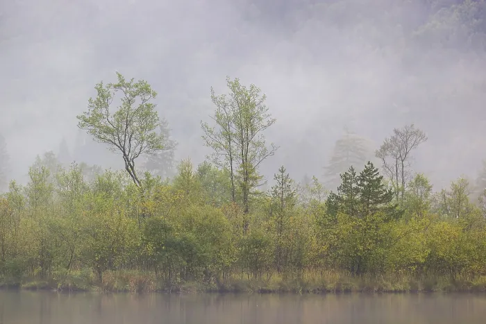 Framed Print : Dense fog on a lake on an early fall morning Framed Print : Dense fog on a lake on an early fall morning