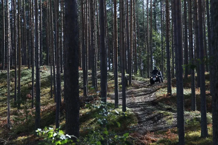 Framed Print : Dense forest with a visible path and an ATV in the background