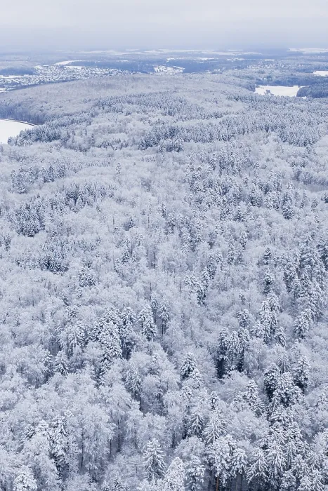 Framed Print : Dense, snowy forest with a view of the surrounding landscape Framed Print : Dense, snowy forest with a view of the surrounding landscape
