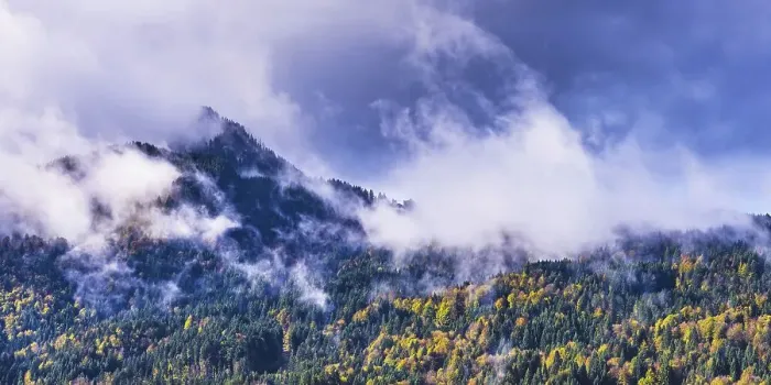 Framed Print : Departing thunderclouds, mountain forest near Soellerkopf