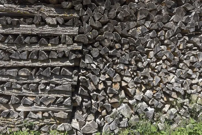 Framed Print : Deposited stacked logs, Bavaria Germany