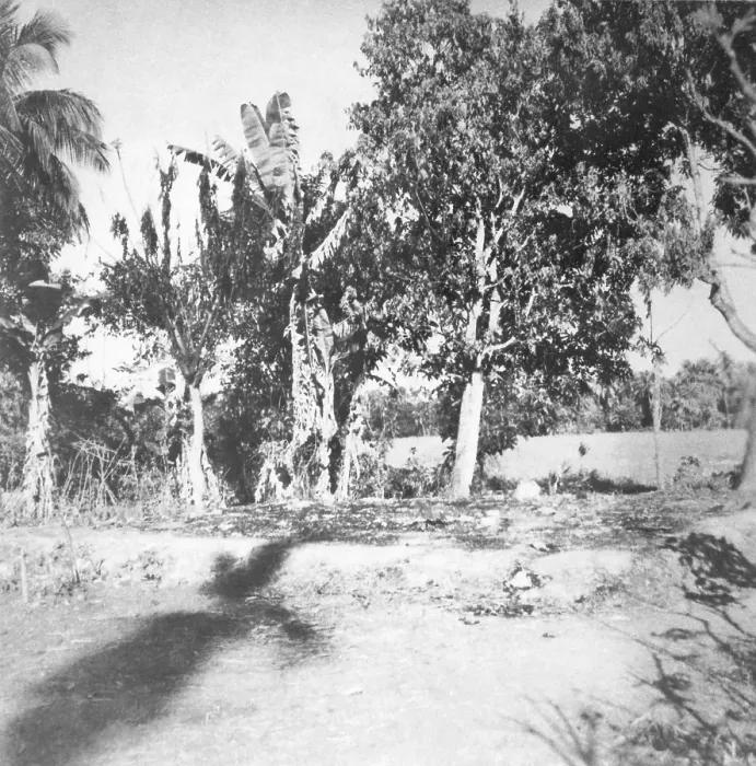 Framed Print : Destruction caused by riots between Hindus and Muslims in Noakhali East Bengal, November 1946, India, Asia Framed Print : Destruction caused by riots between Hindus and Muslims in Noakhali East Bengal, November 1946, India, Asia