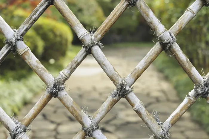 Framed Print : Detailed bamboo fence with zen garden behind Framed Print : Detailed bamboo fence with zen garden behind