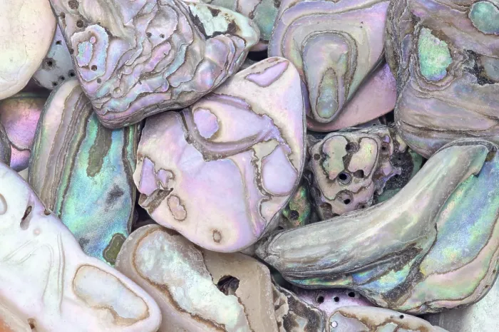 Framed Print : A detailed macro shot of abalone shell fragments in various shapes and sizes