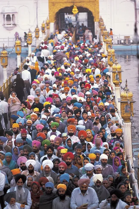 Framed Print : Devotees at golden temple, amritsar Framed Print : Devotees at golden temple, amritsar