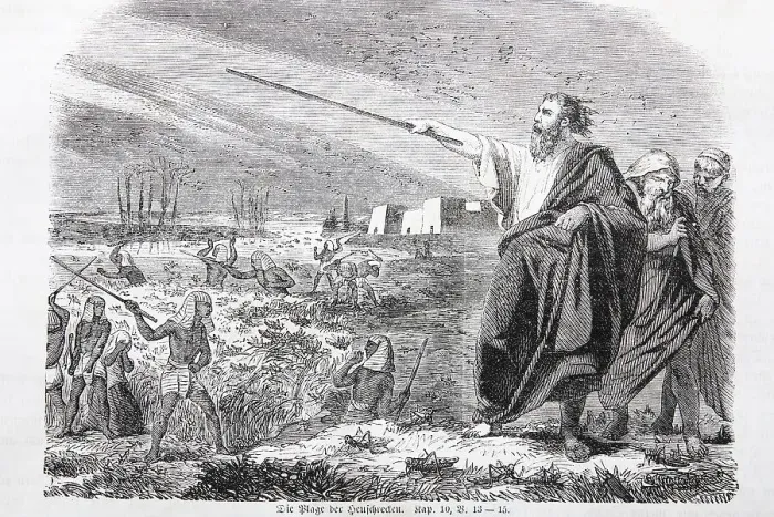 Framed Print : Die Heuschreckenplage, Historische Illustration in einer alten Prachtbibel