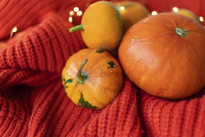 Framed Print : Different bright orange pumpkins on a red background lie on a knitted fabric against the background of lights Framed Print : Different bright orange pumpkins on a red background lie on a knitted fabric against the background of lights