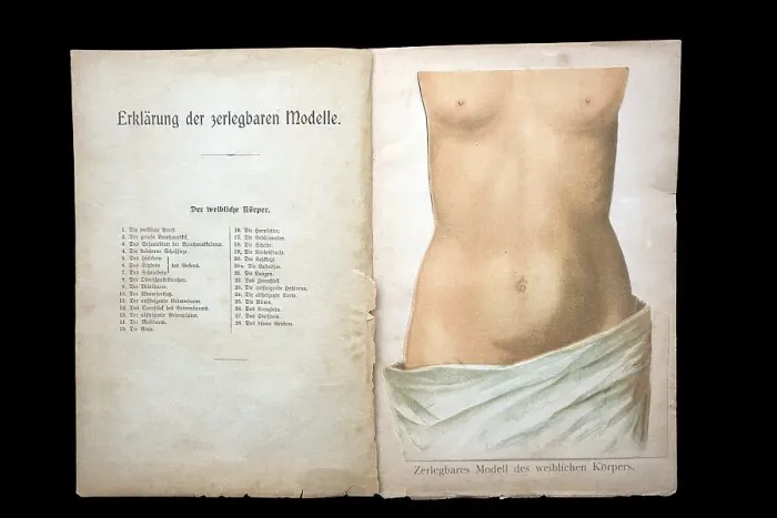 Framed Print : Dismountable model of a female body