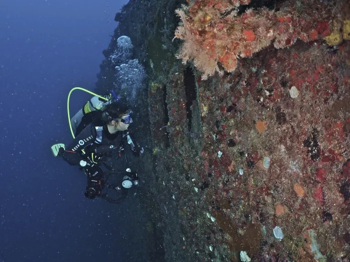 Framed Print : Diver looking into the porthole of the wreck of the USS Spiegel Grove Framed Print : Diver looking into the porthole of the wreck of the USS Spiegel Grove