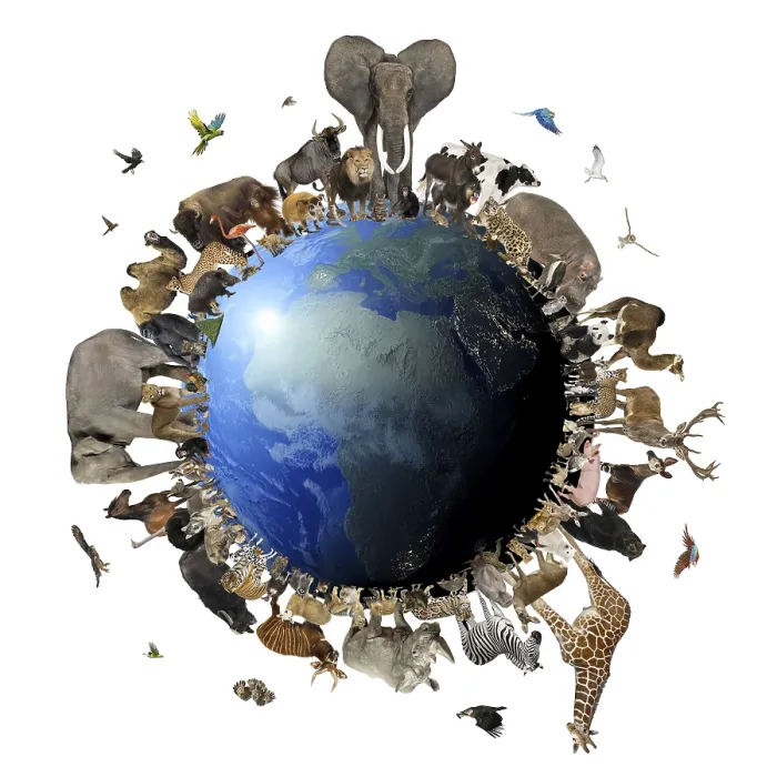 Framed Print : Diverse wild animals encircle the earth