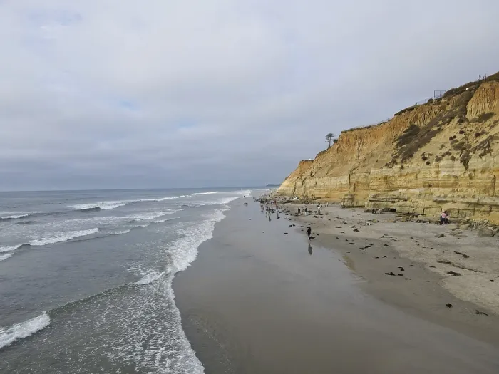 Framed Print : Dog Beach off-leash on Del Mar North Beach