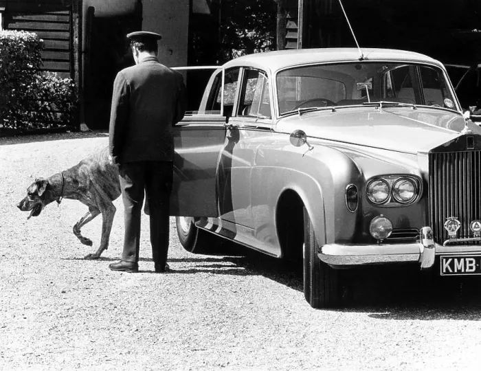 Framed Print : Dog gets out of Rolls Royce Limousine