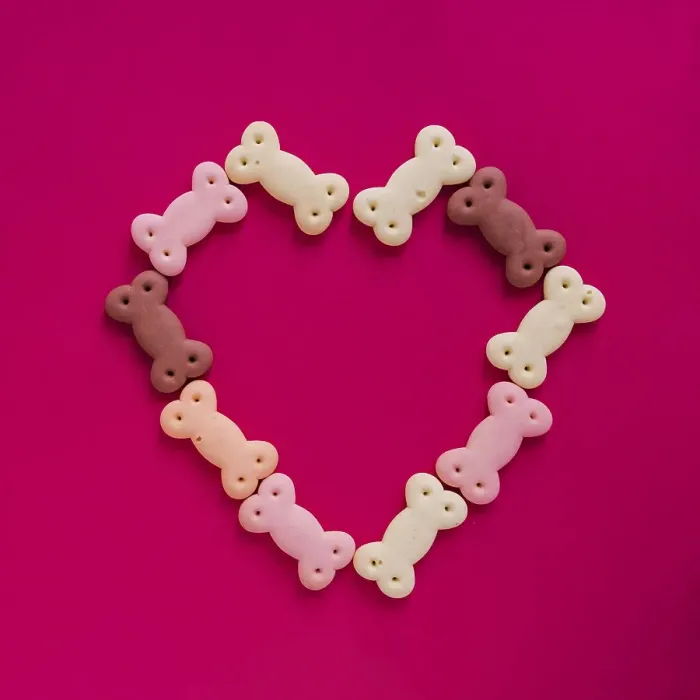 Framed Print : Dog snacks heart shape Framed Print : Dog snacks heart shape