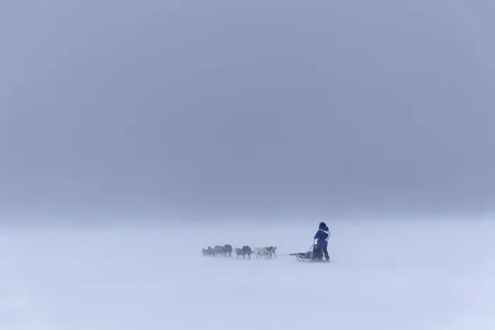 Framed Print : Dog team at Trappers Trail in dense fog