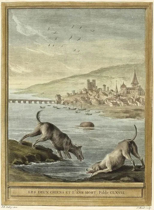 Framed Print : Two dogs drink water from the river while the dead donkey floats by