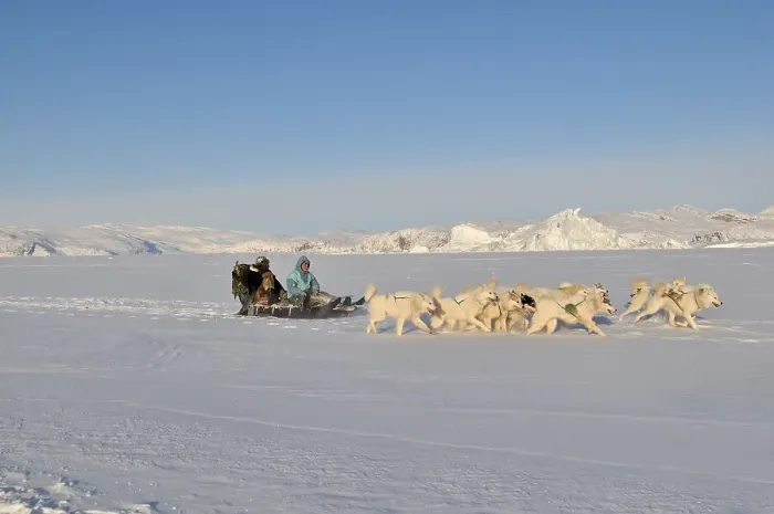 Framed Print : Dogsled trip to Ilulissat Fjord Framed Print : Dogsled trip to Ilulissat Fjord