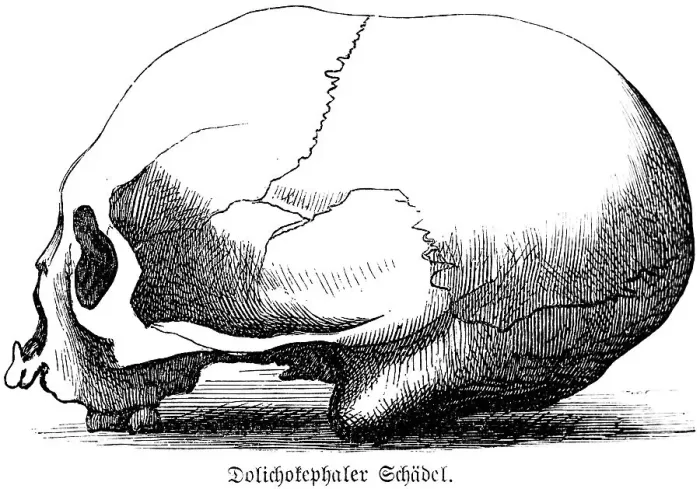 Framed Print : Dolichocephalic skull, long head with flat forehead and pronounced occiput, side view, skullcap, anthropology, archaeology, history of mankind, historical illustration 1880