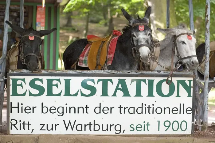 Framed Print : The donkey station below the Wartburg Castle