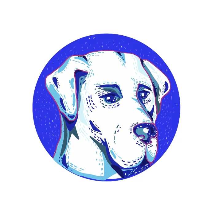 Framed Print : Doodle art illustration of head of a Labrador Retriever or Lab Framed Print : Doodle art illustration of head of a Labrador Retriever or Lab