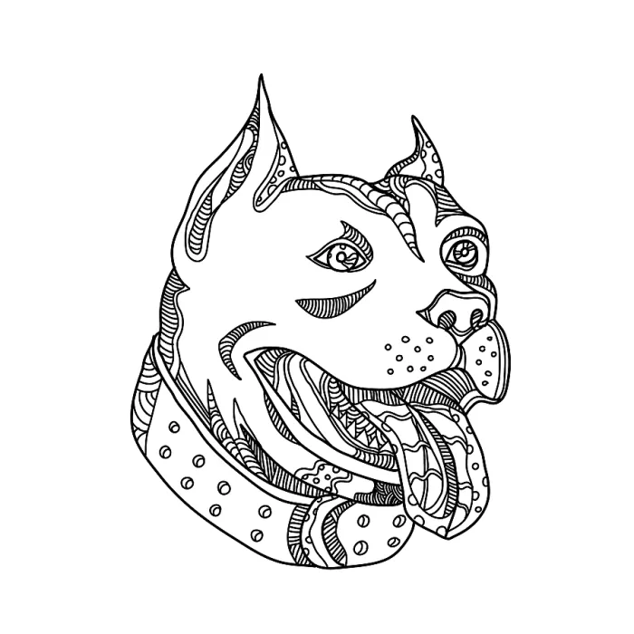 Framed Print : Doodle art illustration of head of pit bull Framed Print : Doodle art illustration of head of pit bull
