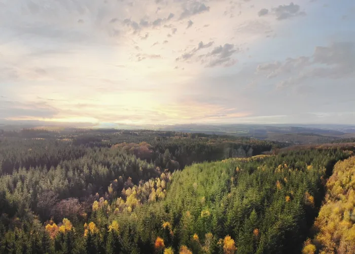Framed Print : Dramatic aerial sunset over the pine tree forest in autumn in the Ardennes Framed Print : Dramatic aerial sunset over the pine tree forest in autumn in the Ardennes