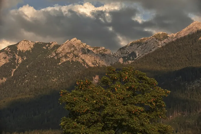Framed Print : Dramatic cloud formations over the mountain peaks with a single large tree in the foreground Framed Print : Dramatic cloud formations over the mountain peaks with a single large tree in the foreground