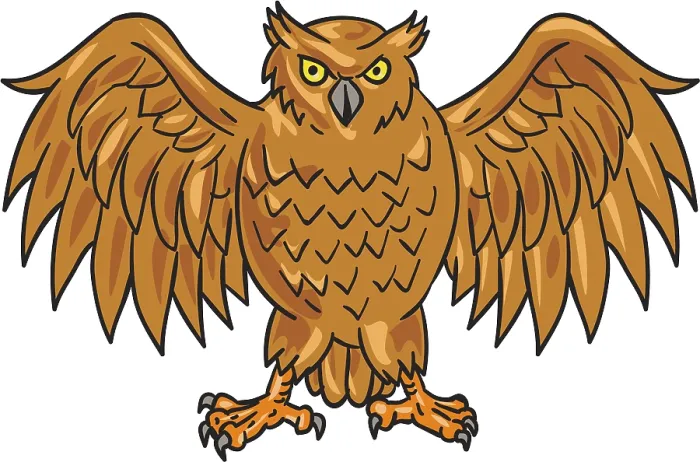 Framed Print : Drawing sketch style illustration of an angry owl facing front with spread wings set on isolated white background Framed Print : Drawing sketch style illustration of an angry owl facing front with spread wings set on isolated white background