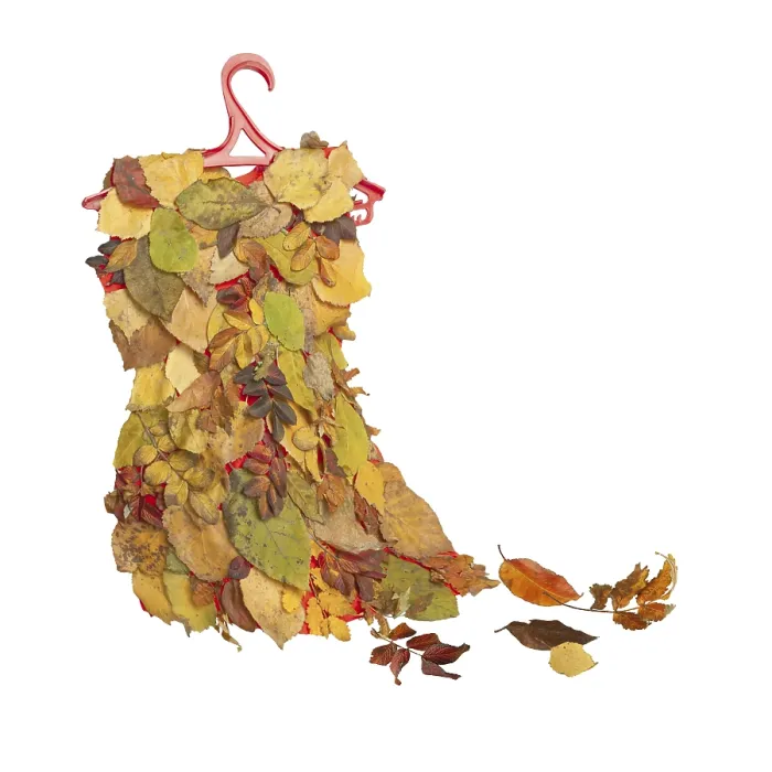 Framed Print : Dress made of autumn leaves, on a white background Framed Print : Dress made of autumn leaves, on a white background