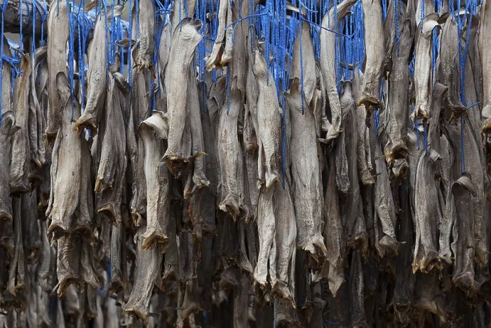 Framed Print : Dried fish, Iceland, Europe