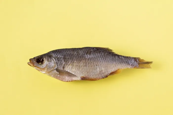 Framed Print : Dried fish - rudd on a yellow background, isolate Framed Print : Dried fish - rudd on a yellow background, isolate