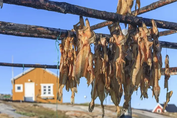Framed Print : Dried fish, seal meat, whale meat Framed Print : Dried fish, seal meat, whale meat