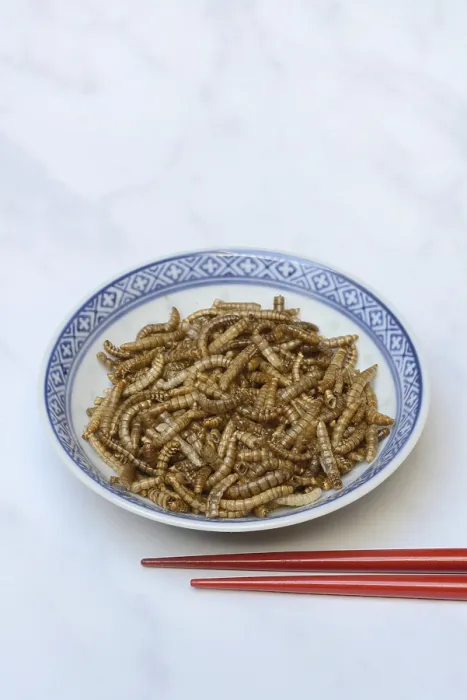 Framed Print : Dried mealworms in bowl and chopsticks, Germany