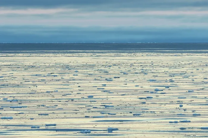 Framed Print : Drifting ice floes on the edge of the pack ice Framed Print : Drifting ice floes on the edge of the pack ice