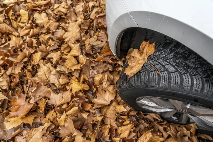 Framed Print : Driving on autumn leaves, slippery surfaces