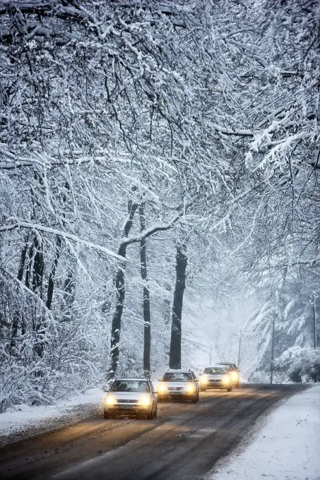 Framed Print : Driving in winter, vehicles on a cleared road in a snow-covered forest with falling snow