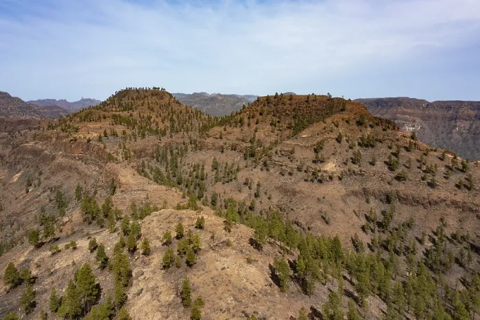 Framed Print : Drone image, pine forest in the Palmitos Mountains