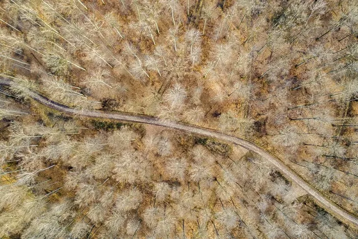 Framed Print : Drone image, Swabian Forest, mixed forest