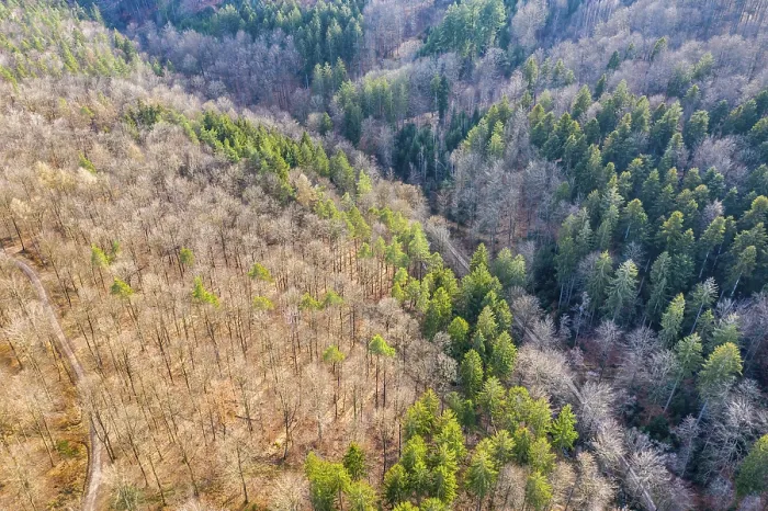 Framed Print : Drone image, Swabian Forest, mixed forest Framed Print : Drone image, Swabian Forest, mixed forest