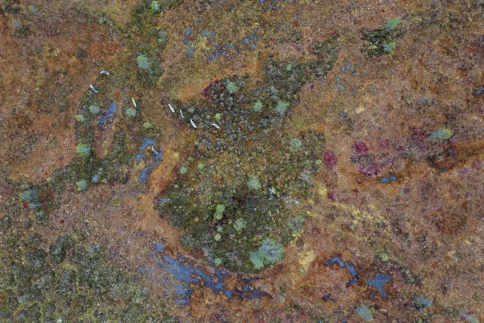 Framed Print : Drone shot, aerial view, wetland