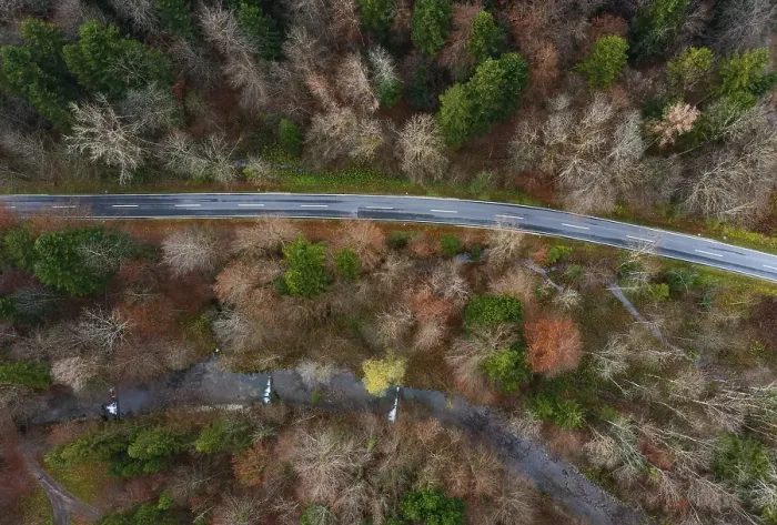 Framed Print : Drone shot, Wangauer Ache with federal road and autumnal mixed forest from above Framed Print : Drone shot, Wangauer Ache with federal road and autumnal mixed forest from above