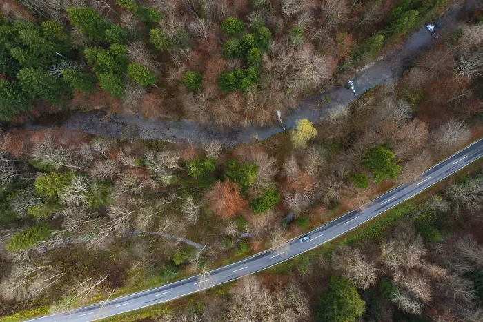 Framed Print : Drone shot, Wangauer Ache with federal road and autumnal mixed forest from above