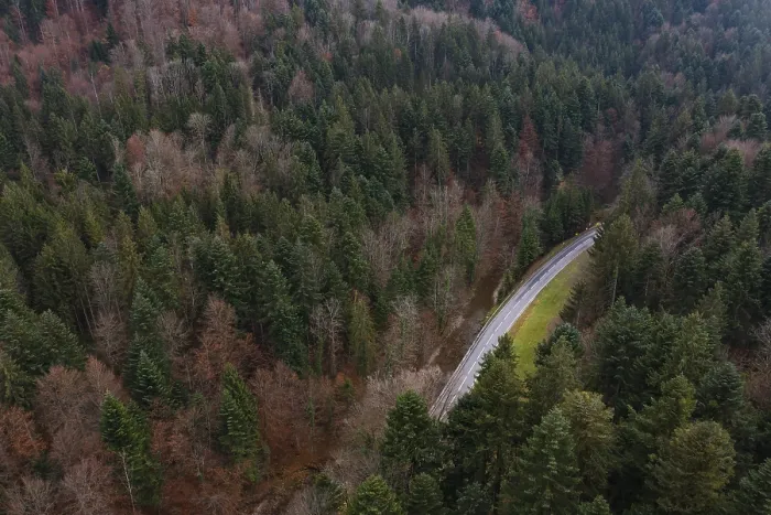 Framed Print : Drone shot, Wangauer Ache with federal road and autumnal mixed forest from above