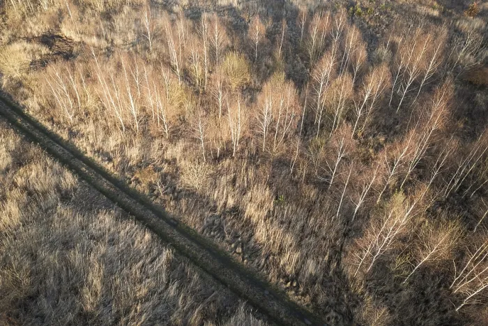 Framed Print : Drone view of the forest and dirt track in Tymowa