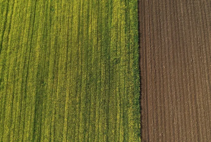 Framed Print : Drone view, green and ploughed fields