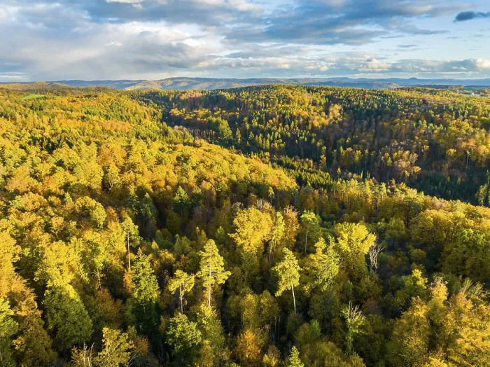 Framed Print : Drone view of sundown over forest and rural landscape in autumn