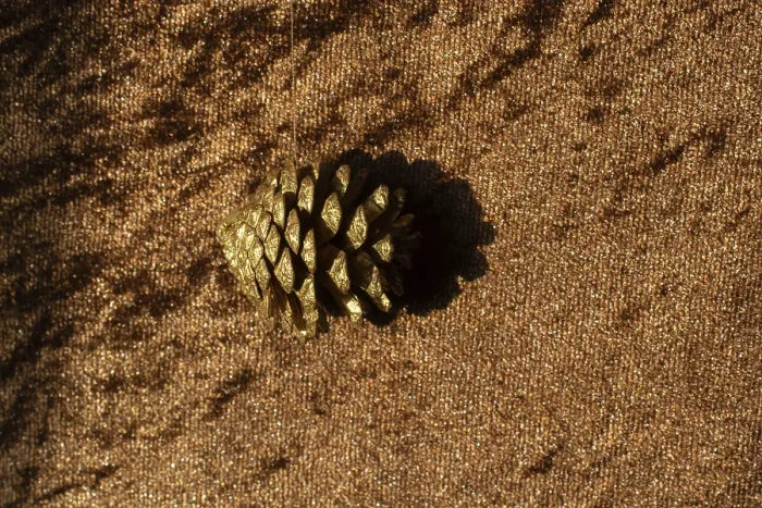 Framed Print : Dry pine cones as forest nature elements background