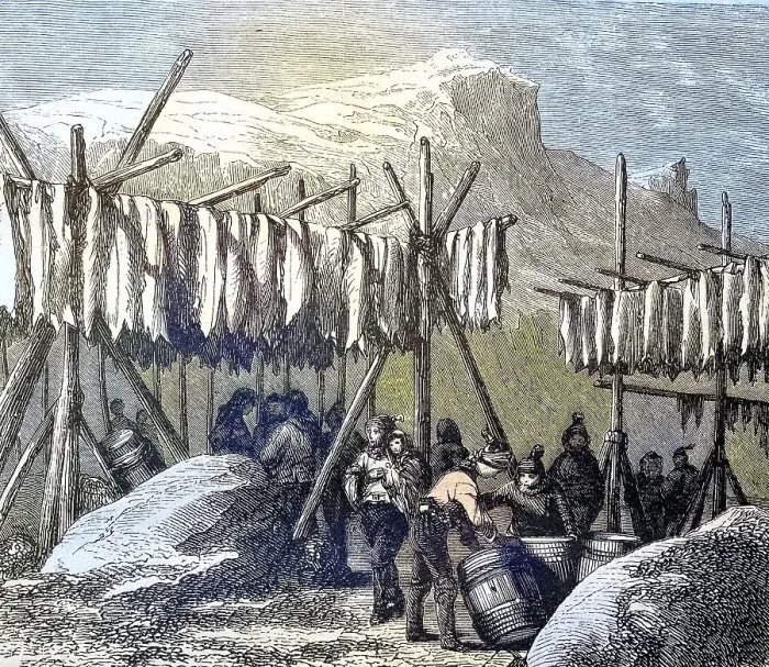 Framed Print : Drying the cod fish on Newfoundland country